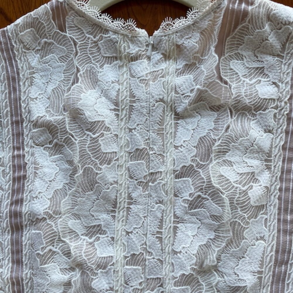 Reiss Sally lace bodice dress in mocha, US Size 8, excellent condition - Picture 6 of 6